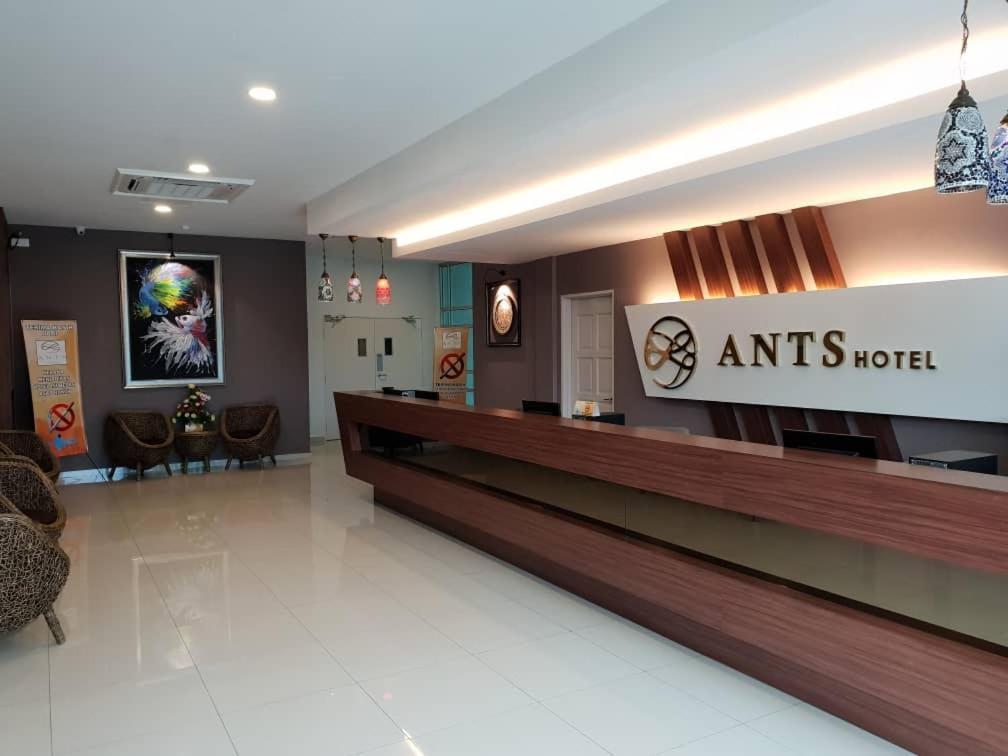 קאנגר Ants Hotel מראה חיצוני תמונה